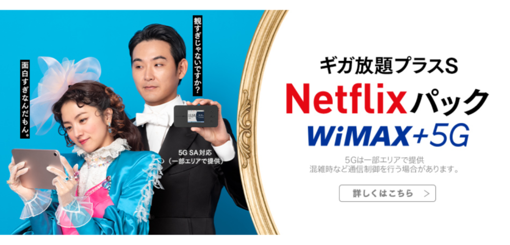 UQ WiMAX ギガ放題プラスS Netflixパック(1-1)